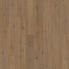 Hazelnut Hickory