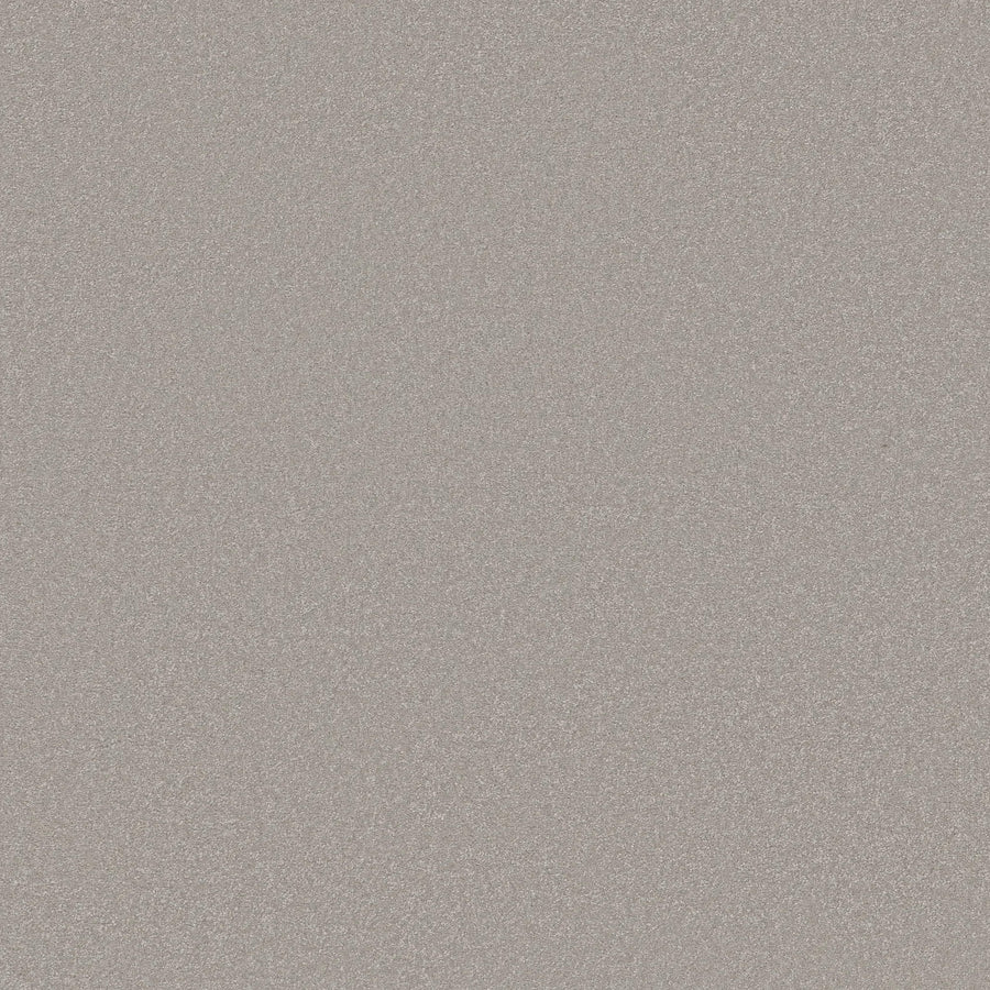 A close-up of the Awaken Spirit Pet Friendly Carpet in Hazy Sky, featuring a finely textured, light grey surface with subtle glittery tones—ideal for adding contemporary style and durability to any room.