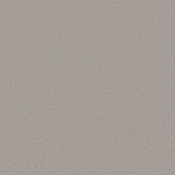 A close-up of the Awaken Spirit Pet Friendly Carpet in Hazy Sky, featuring a finely textured, light grey surface with subtle glittery tones—ideal for adding contemporary style and durability to any room.