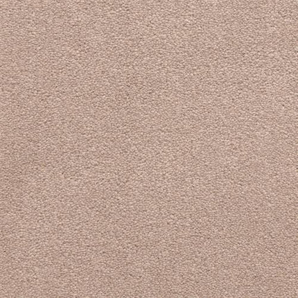 Close-up of Grand Isle Family Friendly Carpet in Hedge color, featuring a beige, textured surface with small, tightly packed fibers arranged in a soft and uniform pattern.