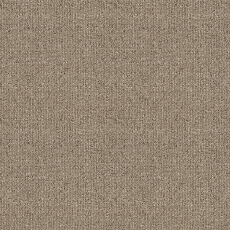 A close-up of Sierra Vista Pet Friendly Carpet in High Noon shows its textured brown weave and fine threads. The soft, slightly rough surface feels comfortable underfoot, ideal for contemporary interiors.