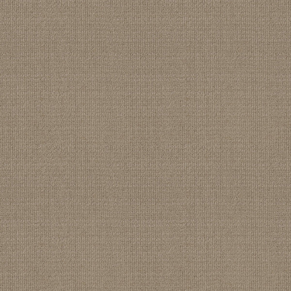 A close-up of Sierra Vista Pet Friendly Carpet in High Noon shows its textured brown weave and fine threads. The soft, slightly rough surface feels comfortable underfoot, ideal for contemporary interiors.