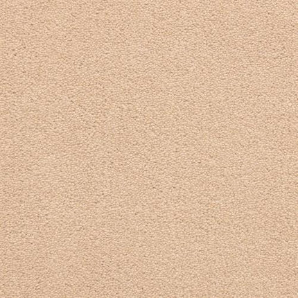 A close-up of the Grand Isle Family Friendly Carpet in Hillcrest shows its soft, textured beige surface with a uniform, slightly fuzzy appearance for a luxurious look.