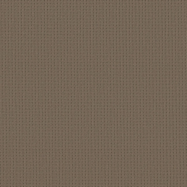 Close-up of the San Lucas Family Friendly Carpet in Homestead color, featuring a vertical ribbed texture—an ideal, durable choice for high-traffic, family homes.