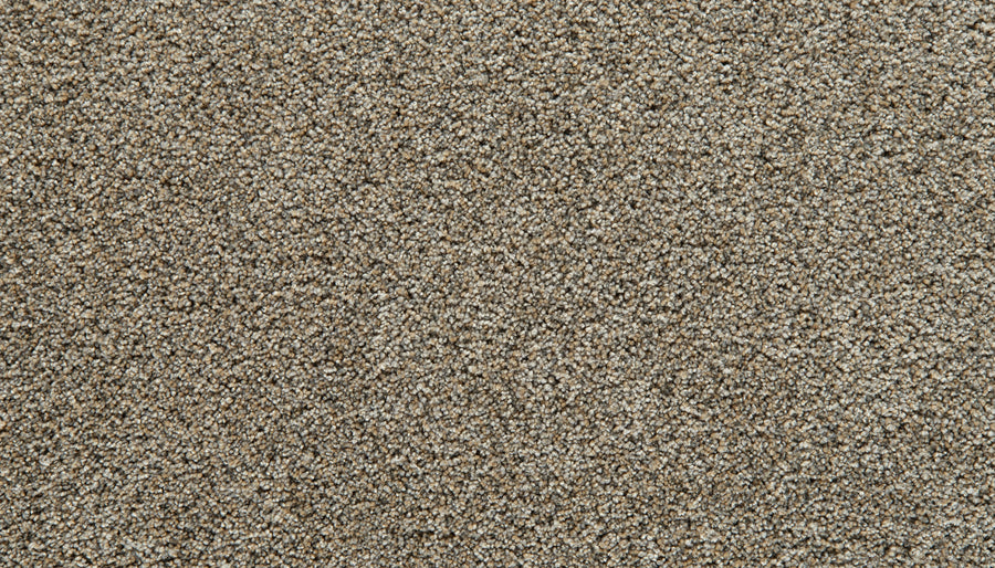 Close-up view of the Cozy Companion Pet Friendly Carpet in Homestead—a fine, light brown hue with an even, slightly rough texture reminiscent of plush sand—filling the entire frame.