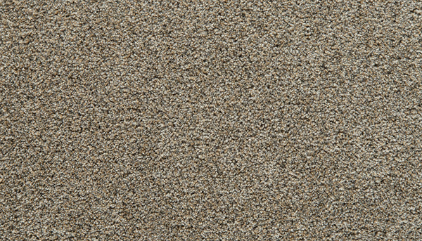 Close-up view of the Cozy Companion Pet Friendly Carpet in Homestead—a fine, light brown hue with an even, slightly rough texture reminiscent of plush sand—filling the entire frame.