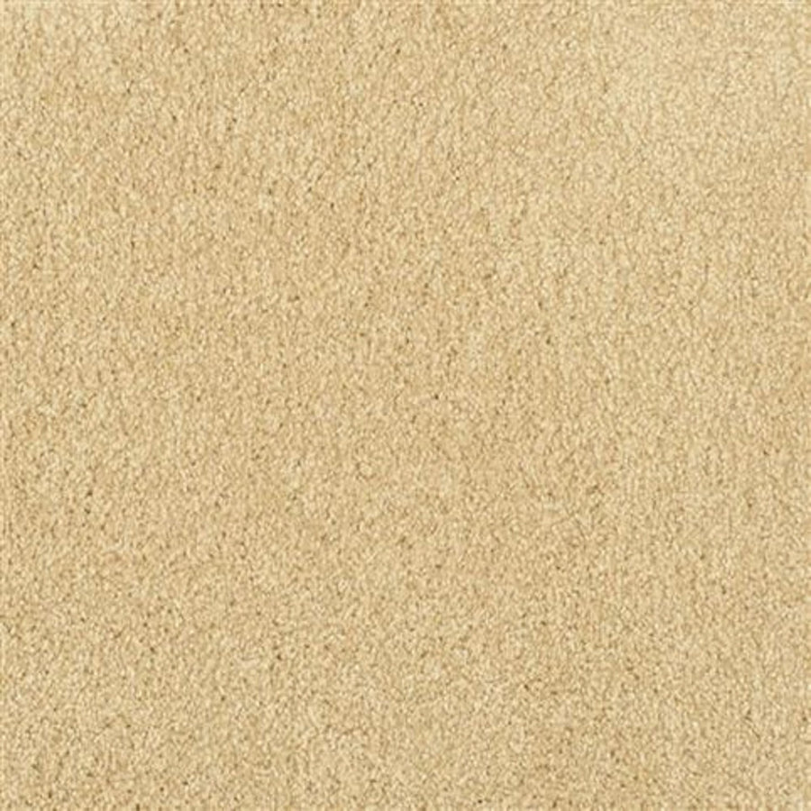 Close-up view of Oceanside Family Friendly Carpet in Honey Harbor—a soft, textured surface featuring uniform fibers for plush, smooth flooring that's evenly colored and ideal for everyday comfort.