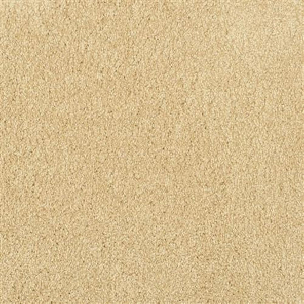 Close-up view of Oceanside Family Friendly Carpet in Honey Harbor—a soft, textured surface featuring uniform fibers for plush, smooth flooring that's evenly colored and ideal for everyday comfort.
