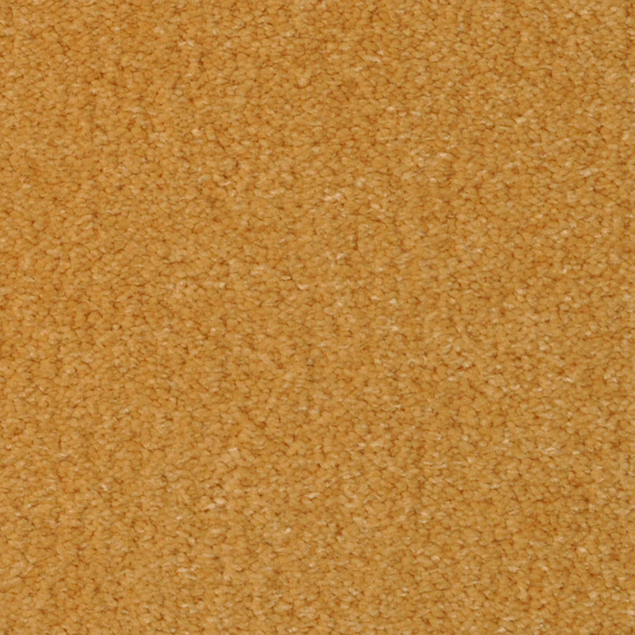 Close-up of the Seduction On Trend Carpet in Honeycomb color, featuring a textured, orange-brown surface with a soft, slightly fuzzy feel. The elegant, comfortable flooring shows a uniform look without patterns or objects.