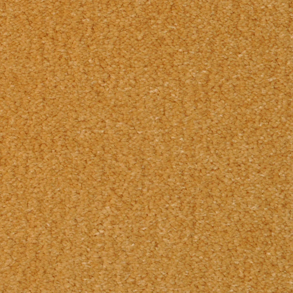 Close-up of the Seduction On Trend Carpet in Honeycomb color, featuring a textured, orange-brown surface with a soft, slightly fuzzy feel. The elegant, comfortable flooring shows a uniform look without patterns or objects.