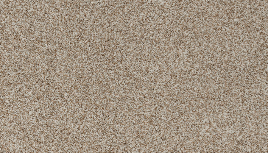 Close-up of Aurelia Pet Friendly Carpet in beige and cream speckles, featuring a soft, plush texture and a subtle blend of light and dark fibers for a luxurious flooring look.