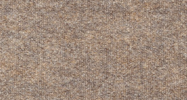 Close-up of Windsurf Pet Friendly Carpet in Hopsack, featuring a dense, slightly rough weave with subtle color variations—an ideal choice for contemporary style and comfortable design.