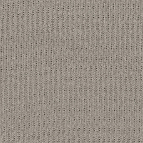 Close-up of San Lucas Family Friendly Carpet in Huskie—a beige, vertical ribbed knit with textured interlocking loops, perfect for high-traffic homes seeking cozy durability.