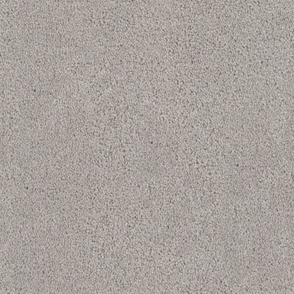 Close-up of the Tribute Family Friendly Carpet in Hypnotic color, featuring a light gray, textured, stain-resistant surface with dense, soft, and even pile. Uniform fibers provide a smooth and consistent look that's perfect for families.