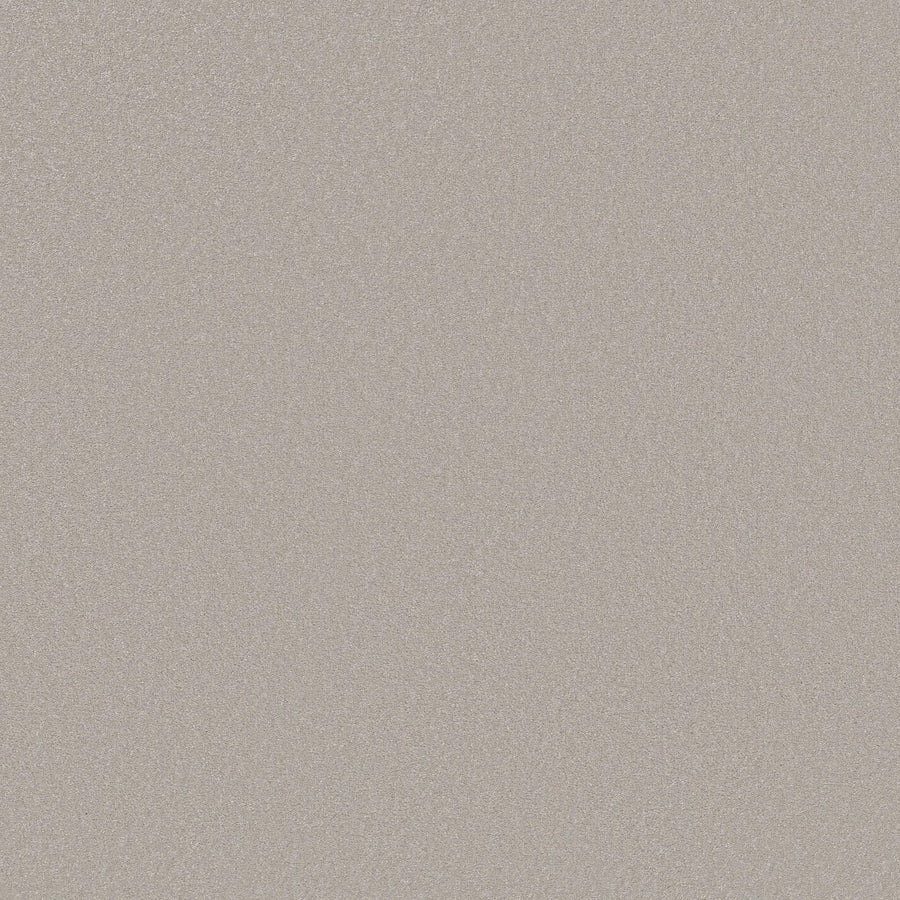 A close-up of Awaken Spirit Pet Friendly Carpet in Ice Cube showcases its smooth, light beige surface with a subtle fine grain pattern, emphasizing its durability and modern style.