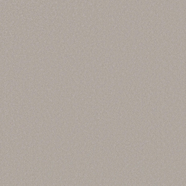 A close-up of Awaken Spirit Pet Friendly Carpet in Ice Cube showcases its smooth, light beige surface with a subtle fine grain pattern, emphasizing its durability and modern style.