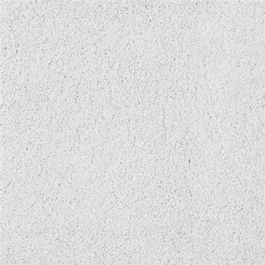 Close-up of Oceanside Family Friendly Carpet in Ice, showcasing its white, textured surface with fine, irregular patterns and subtle shading variations for a plush, inviting look.
