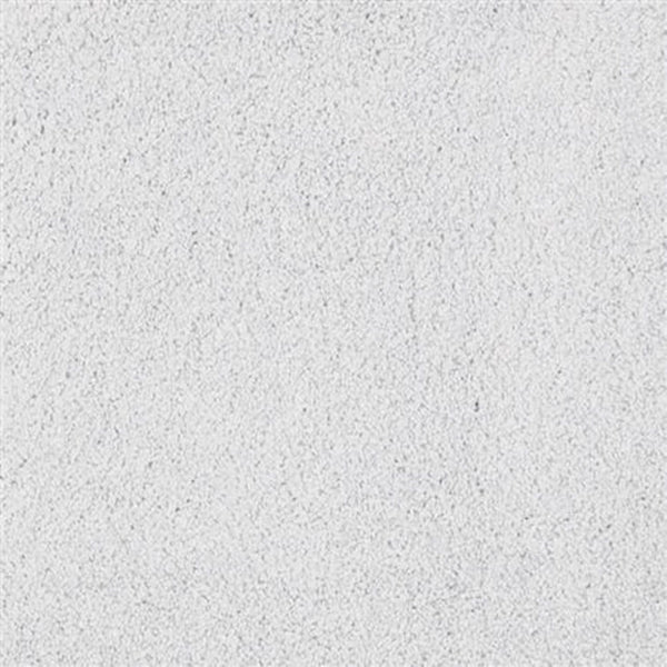Close-up of Oceanside Family Friendly Carpet in Ice, showcasing its white, textured surface with fine, irregular patterns and subtle shading variations for a plush, inviting look.