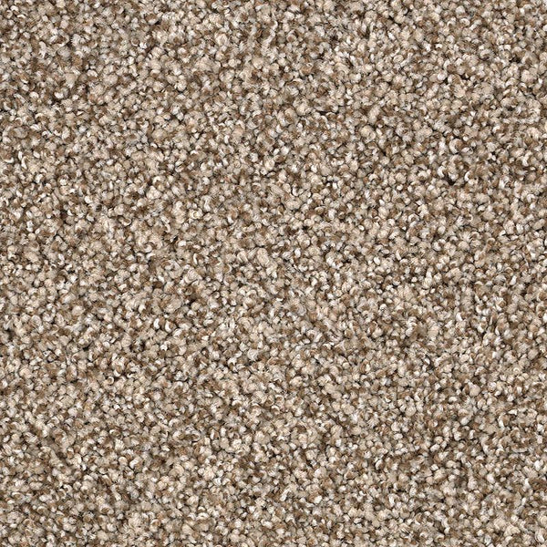 Close-up view of Shaded Escape Family Friendly Carpet in Iceland color, featuring a beige, tightly looped low-pile texture with soft, dense fibers for a durable and uniform look that's perfect for any home.