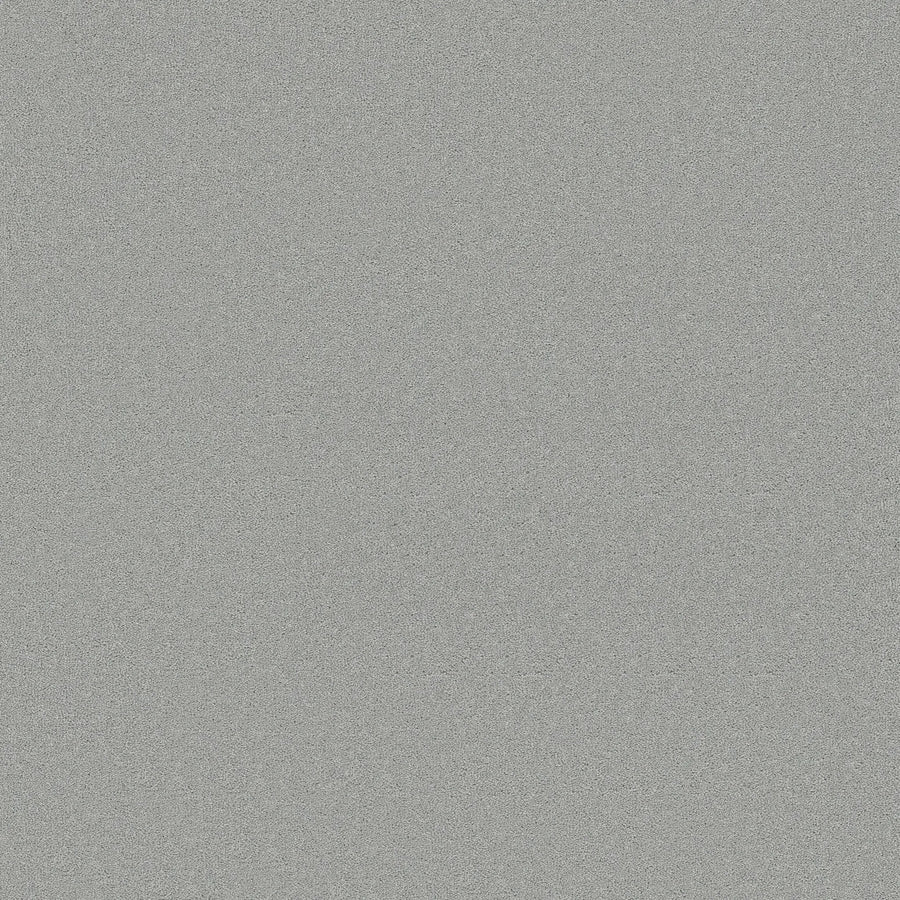 A close-up image of Smooth Tone Blue Pet Friendly Carpet in Icy Mist, featuring a light gray, slightly textured surface with a smooth finish—ideal for luxurious, pet-friendly flooring.