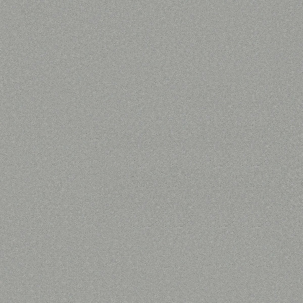 A close-up of Smooth Tone Pet Friendly Carpet in Icy Mist shows a gray, fine-textured surface with a uniform, slightly grainy look—designed for durability and daily use.