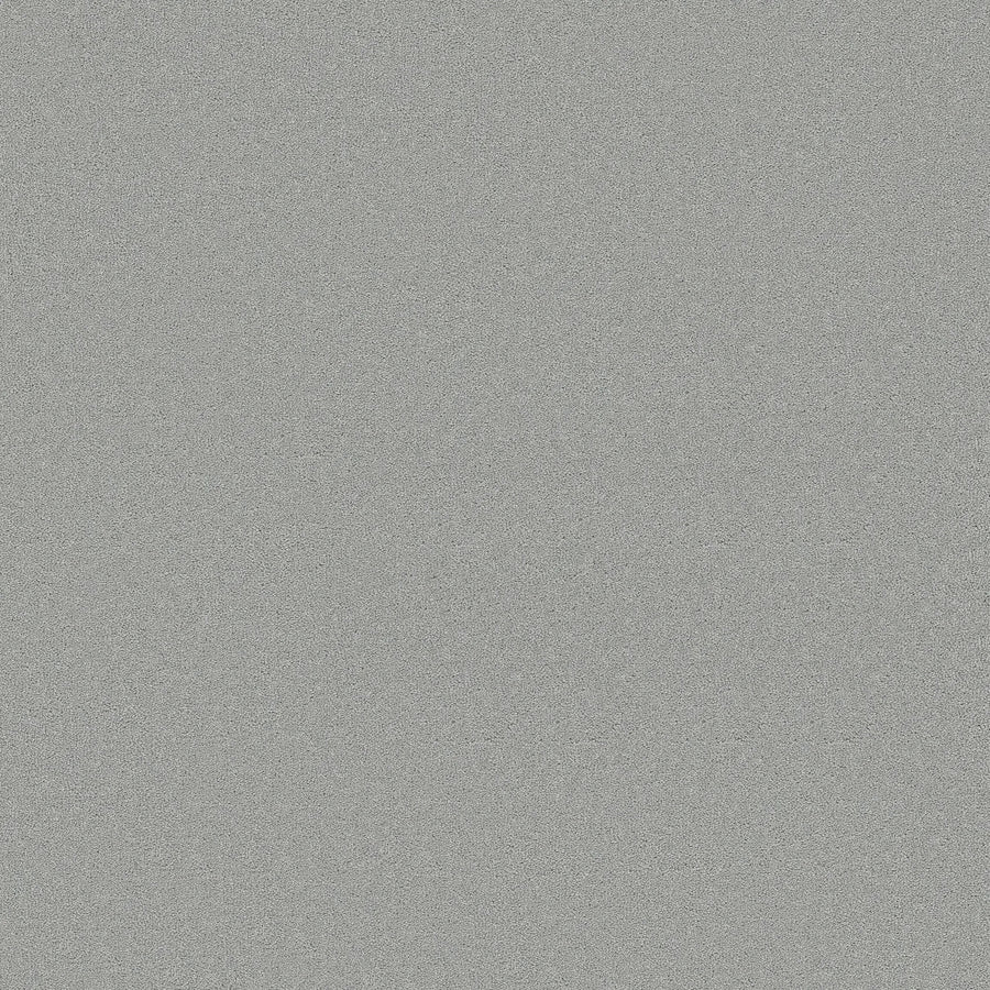 A flat, uniform light gray texture fills the image, resembling the Classic Tone Pet Friendly Carpet in Icy Mist. The surface has no patterns or color variations, evoking durable carpet like concrete or fine-grained sandpaper.