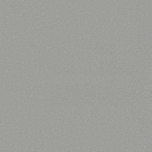 Classic Tone Blue Pet Friendly Carpet in Icy Mist features a flat, even surface with a light gray, grainy texture—like fine sandpaper or static noise—designed for durability and daily use. No distinct patterns or objects are visible.