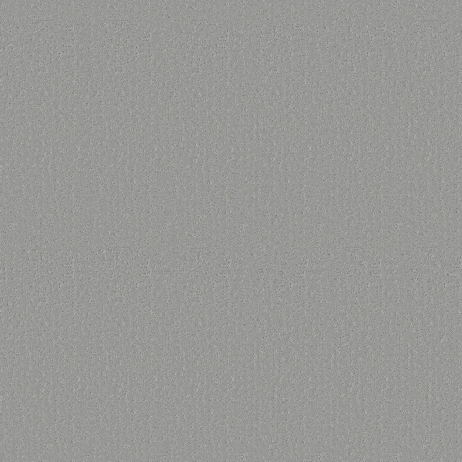 Crafted Tone Pet Friendly Carpet in Icy Mist has a flat, uniform surface with a light gray, speckled look—resembling static. It's durable, stain-resistant, and ideal for homes with pets. No distinct shapes or patterns are visible.
