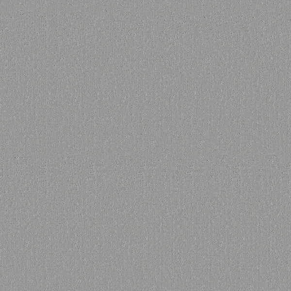 Crafted Tone Pet Friendly Carpet in Icy Mist has a flat, uniform surface with a light gray, speckled look—resembling static. It's durable, stain-resistant, and ideal for homes with pets. No distinct shapes or patterns are visible.