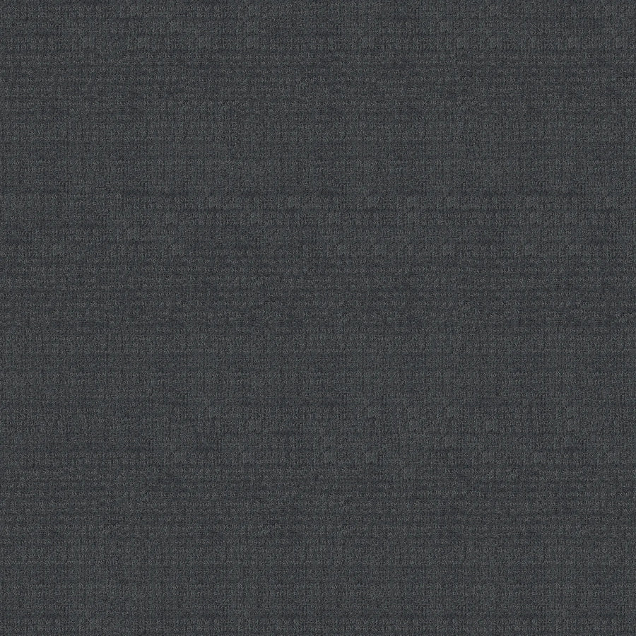 Sierra Vista Pet Friendly Carpet in Indigo features a dark, subtle woven pattern with shades of gray and black, offering contemporary style and a soft, mottled surface perfect for upholstery or comfortable underfoot use.