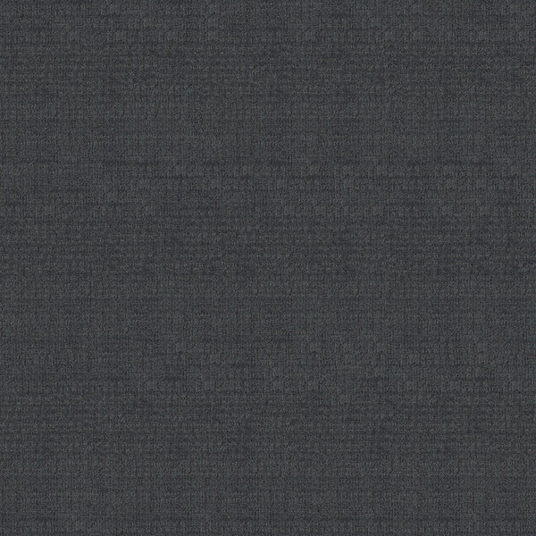 Sierra Vista Pet Friendly Carpet in Indigo features a dark, subtle woven pattern with shades of gray and black, offering contemporary style and a soft, mottled surface perfect for upholstery or comfortable underfoot use.