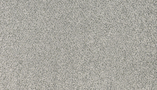 Close-up of Innovative Comfort I Pet Friendly Carpet in Parade. This light gray, stain-resistant carpet has a soft, textured surface and tightly woven fibers—perfect for stylish, durable, and cozy pet-friendly homes.