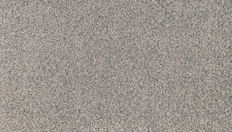 Close-up of Innovative Comfort I Pet Friendly Carpet in Radiance—gray, stain-resistant with light and dark fibers for a speckled, textured look ideal for busy, pet-friendly homes.