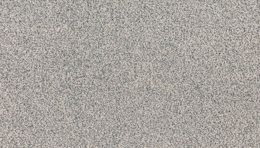 A close-up view of the Innovative Comfort I Pet Friendly Carpet in Pinwheel color, featuring a dense pattern of small black, white, and gray dots that create a textured, grainy appearance like static noise or television snow.