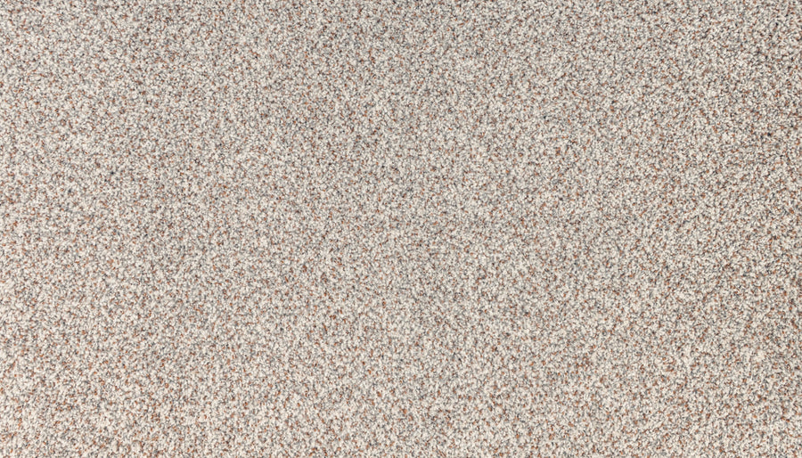 Close-up of Innovative Comfort III Pet Friendly Carpet in Falling Leaves, featuring a speckled, textured surface in light beige and brown tones—stylish, stain-resistant, and perfect for homes with pets.
