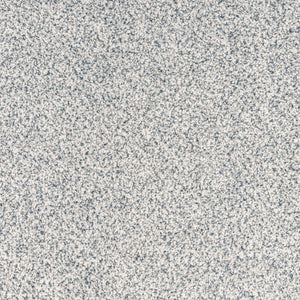 A close-up of the Innovative Comfort II Pet Friendly Carpet in Brocade shows a dense black, white, and gray pattern resembling static noise—luxurious, stain resistant, and ideal for homes with pets.