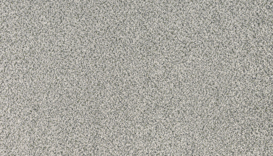 Close-up of Innovative Comfort II Pet Friendly Carpet in Parade: this light gray, dense, and soft carpet features a subtly mottled texture and a stain-resistant surface, making it ideal for homes with pets.