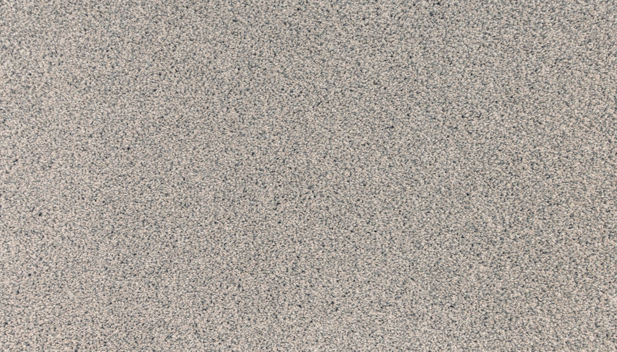 Close-up of Innovative Comfort III Pet Friendly Carpet in Flare color, featuring a textured light gray surface with tiny, evenly distributed specks that resemble rough concrete or stone.