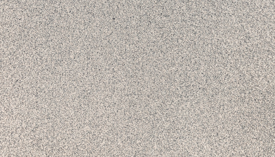 Close-up of Innovative Comfort III Pet Friendly Carpet in Orbit color, featuring a dense, soft surface and tightly-packed fibers for a uniform, plush look.