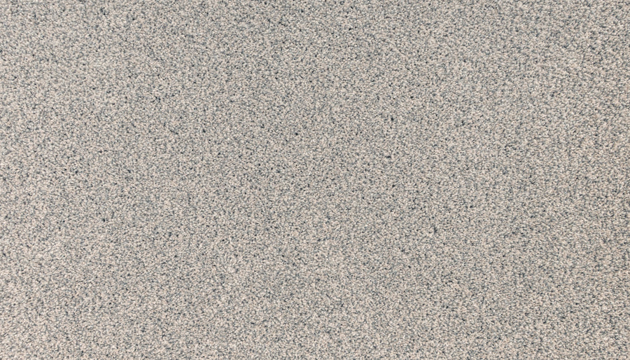 Close-up of Innovative Comfort II Pet Friendly Carpet in Comet, showing its fine, speckled grain texture that’s both stain resistant and ideal for homes with pets.