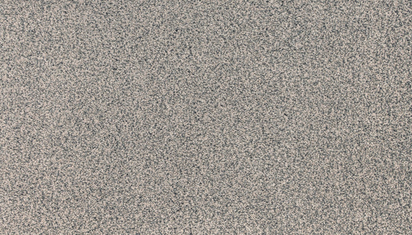 Close-up of Innovative Comfort III Pet Friendly Carpet in Radiance, featuring a textured surface with a gray and beige speckled pattern; stain-resistant and ideal for pet owners.