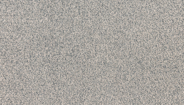Innovative Comfort III Pet Friendly Carpet in Astro features a dense gray and white pattern, reminiscent of TV static or visual snow, combining luxury style with stain resistance and pet-friendly durability.