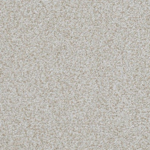 A close-up of Boca Raton Family Friendly Carpet in Insistent shows a soft, textured beige surface with subtle speckles—ideal for durable, stylish flooring in any home.
