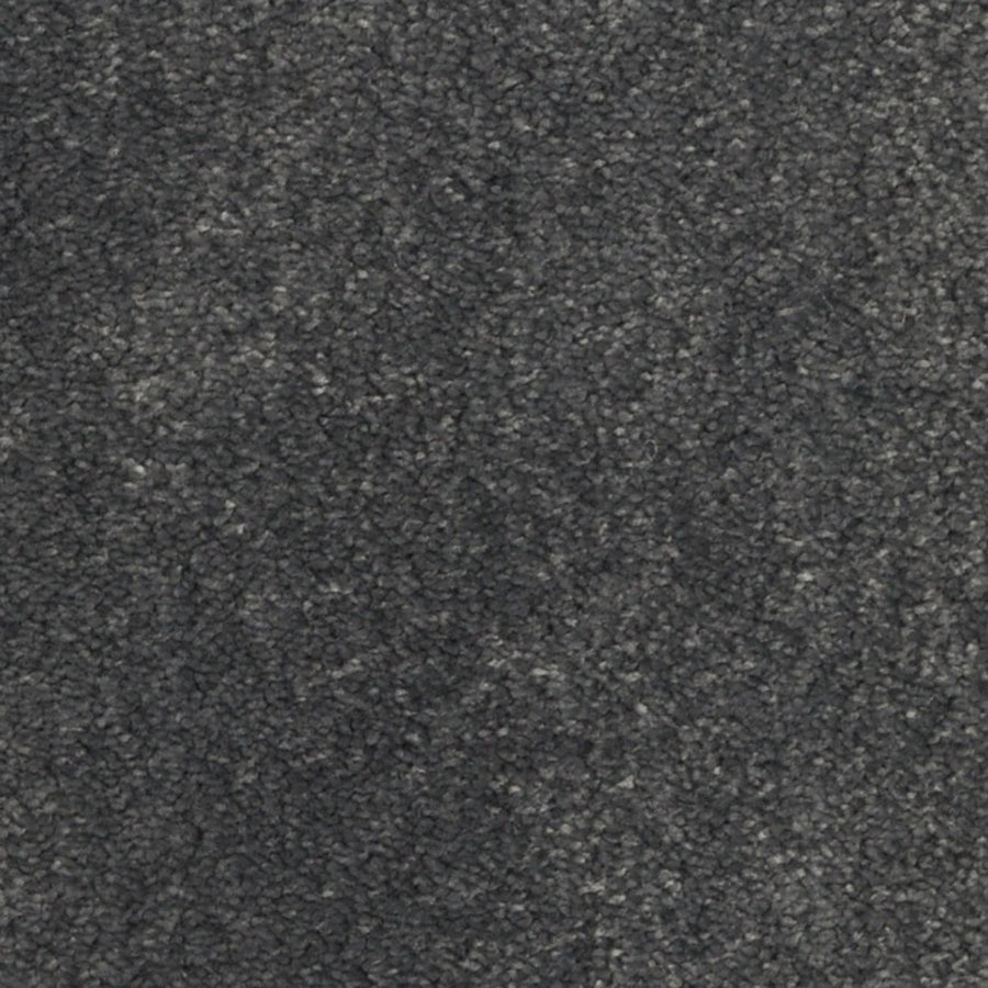 Close-up of Seduction On Trend Carpet in Iron Gate, showcasing a soft, subtly shaded dark gray surface with slight texture variations for an inviting and durable flooring choice.