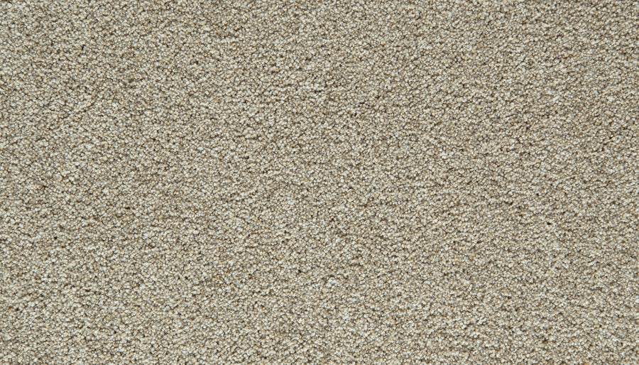 Close-up view of an ivory Cozy Companion Pet Friendly Carpet surface, highlighting the dense, uniform fibers and subtly varied shades that give it a soft, plush appearance—perfect for anyone seeking a truly durable, pet-friendly carpet.