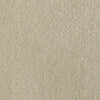 Ivory Cream