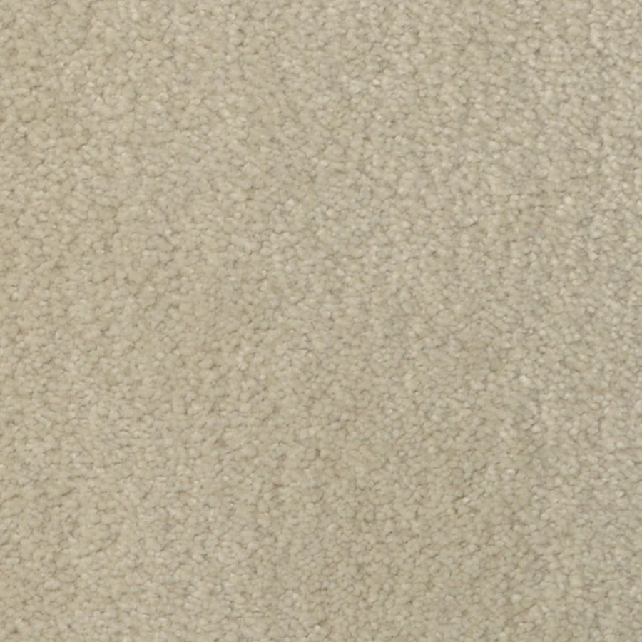 Close-up of Seduction On Trend Carpet in Ivory Cream, featuring a soft, textured surface with tightly woven fibers. The uniform color provides durable flooring and a neutral, cozy look.