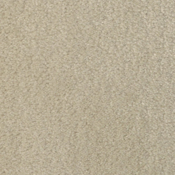 Close-up of Seduction On Trend Carpet in Ivory Cream, featuring a soft, textured surface with tightly woven fibers. The uniform color provides durable flooring and a neutral, cozy look.