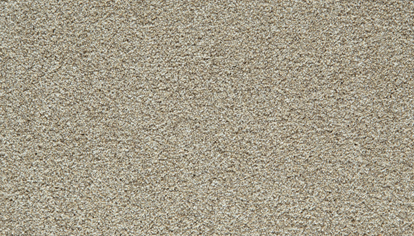 Close-up view of an ivory Cozy Companion Pet Friendly Carpet surface, highlighting the dense, uniform fibers and subtly varied shades that give it a soft, plush appearance—perfect for anyone seeking a truly durable, pet-friendly carpet.