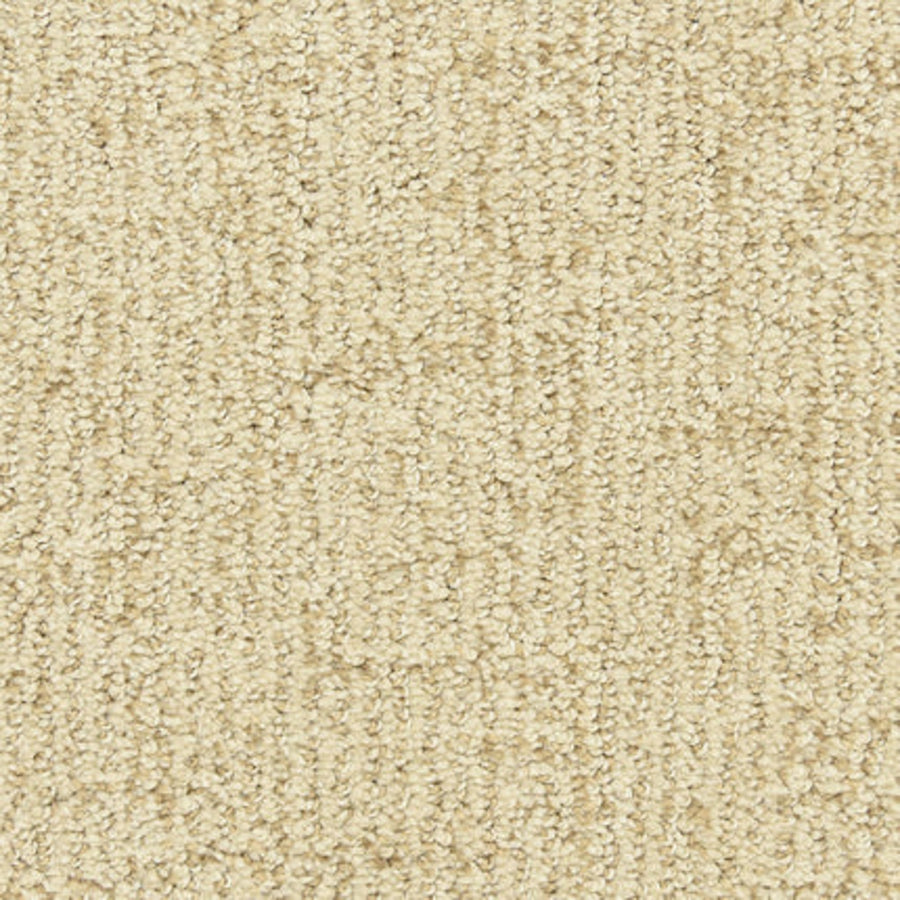 Close-up of Victor Family Friendly Carpet in Jackpot, featuring a soft, looped pile with subtle shading—ideal for durable, premium family flooring.